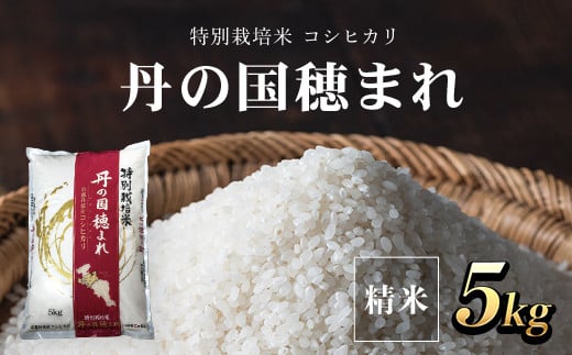 特別栽培米 コシヒカリ 丹の国穂まれ 精米5kg  ふるさと納税 特別栽培米 コシヒカリ 米 精米 減農薬 有機肥料 京都府 福知山市京都府福知山市17000米・パン白米
