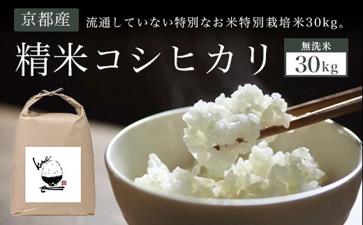 【無洗米】30kg 京都産 精米 コシヒカリ 流通していない 特別なお米 特別栽培米 30kg  ふるさと納税  特別栽培米 無洗米 むせんまい コシヒカリ こしひかり 米 こめ コメ 精米 30kg  もっちり 旨