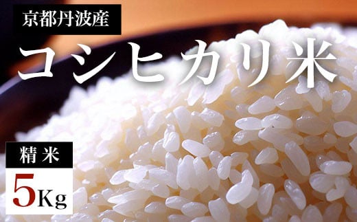 令和7年度産新米 京都丹波産 コシヒカリ米(精米)5kg  ふるさと納税 米 こめ  精米 コシヒカリ こしひかり 5kg 甘味 粘り 京都府 福知山市 京都 福知山 ふるさと 奥京都 丹波産 たんば京