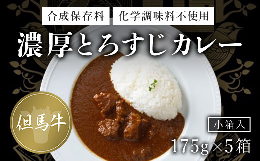 無添加【但馬牛濃厚とろすじカレー】(小箱入り175g×5箱) ふるさと納税 但馬牛 カレー 濃厚 とろすじ とろとろ 旨味 素材の味 果物の味 野菜の味 無添加 飛燕 レ・ジロンデル 京都府 福知山市