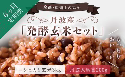 【6ヵ月定期便】丹波・福知山産 発酵玄米セット(コシヒカリ玄米3kgと丹波大納言200g) ふるさと納税 発酵玄米 コシヒカリ玄米 美容 健康 発酵 丹波大納言 有機肥料 大粒 小豆 定期便 3か月