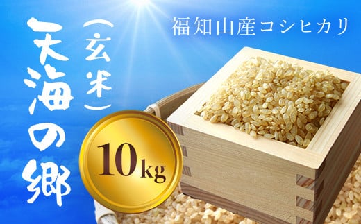 【令和6年産】福知山産コシヒカリ『天海の郷』天空に広がる天海の郷 10kg(玄米) ふるさと納税  こめ コメ 米 コシヒカリ こしひかり 玄米 おいしい 美味しい 美容 健康 天空 雲海 天海の