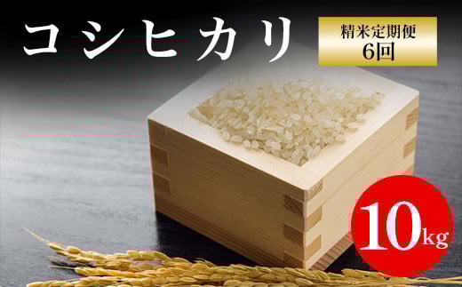 【先行予約】令和7年産新米 京都丹波福知山産 10kg コシヒカリ精米定期便6回 / ふるさと納税 精米 米 こめ ご飯 ごはん 白米 コシヒカリ こしひかり 特別栽培米 京都府 福知山市 FCCN016京都