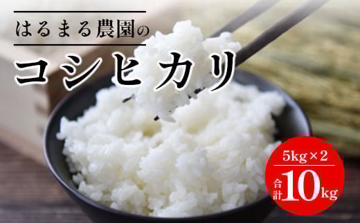 【先行予約】令和7年産新米 京都丹波福知山産 はるまる農園のコシヒカリ 5kg×2 合計10kg / ふるさと納税 精米 米 こめ ご飯 ごはん 白米 コシヒカリ こしひかり 特別栽培米 FCCN010京都府福知