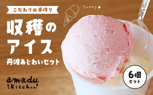 【こだわりの手作り】収穫のアイス 丹波あじわいセット(丹波栗・丹波黒豆・季節のフレーバー各2カップ)/ ふるさと納税 スイーツ アイス アイスクリーム こだわり 手作り 6個 セット 季
