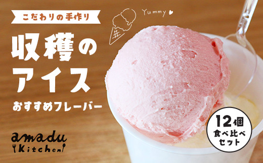 【こだわりの手作り】収穫のアイス(ミルク・イチゴ・ほうじ茶・抹茶・丹波栗・丹波黒豆各2カップ)/ ふるさと納税 スイーツ アイス アイスクリーム こだわり 手作り 12個 食べ比べ セッ