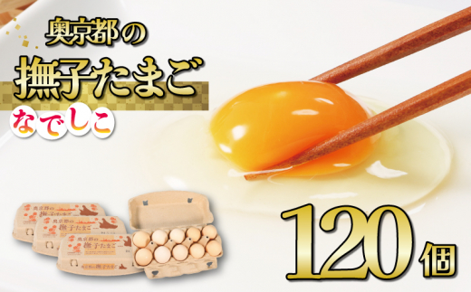 奥京都の撫子たまご 120個入(110個+割れ保証10個) 三和鶏園 MS〜LLサイズ / FCDZ003京都府福知山市15000卵・乳製品卵(鶏、烏骨鶏等)