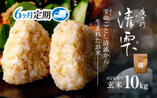 <令和7年9月末より発送予定!>【6ヶ月定期便】京都夜久野産 清雫(せいな) コシヒカリ<玄米10kg×6回>/  令和7年度産 先行 定期 10kg 5kg×2袋 収穫 6回 玄米 夜久野 京都 京都府 福知山