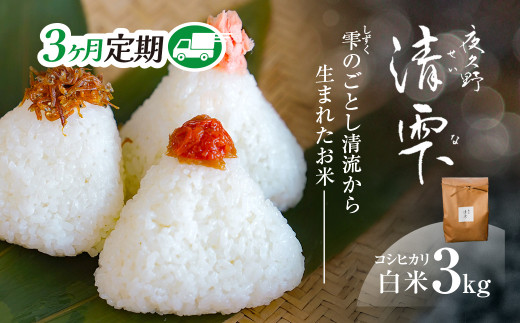 <令和7年9月末より発送予定!>【3ヶ月定期便】京都夜久野産 清雫(せいな) コシヒカリ<白米3kg×3回>/  令和7年度産 先行 定期 3kg 収穫 3回 白米 夜久野 京都 京都府 福知山 FCDB026京