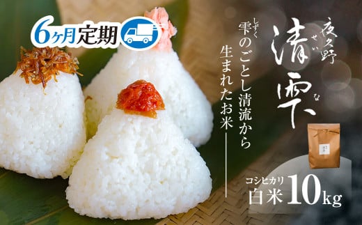 <令和7年9月末より発送予定!>【6ヶ月定期便】京都夜久野産 清雫(せいな) コシヒカリ<白米10kg×6回>/  令和7年度産 先行 定期 10kg 5kg×2袋 収穫 6回 白米 夜久野 京都 京都府 福知山