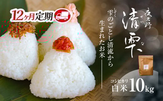 <令和7年9月末より発送予定!>【12ヶ月定期便】京都夜久野産 清雫(せいな) コシヒカリ<白米10kg×12回>/  令和7年度産 先行 定期 10kg 5kg×2袋 収穫 12回 白米 夜久野 京都 京都府 福知山