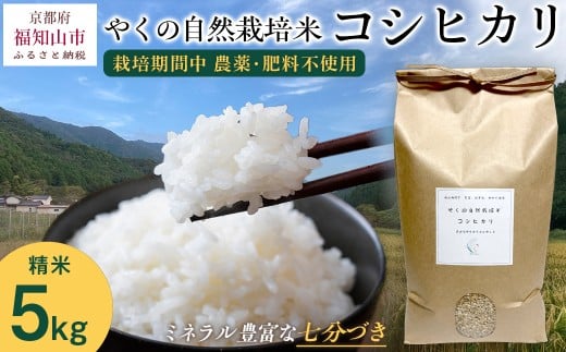 【先行予約・2025年10月より発送開始!】やくの自然栽培米 コシヒカリ 5kg  令和7年産 こめ コメ 米 白米 精米 コシヒカリ こしひかり お米 ごはん やくの 夜久野 京都府 福知山市 FCEV001京