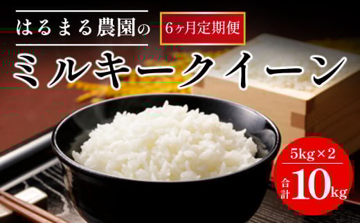 【先行予約】令和7年産新米 【定期便6ヵ月】京都丹波福知山産 ミルキークィーン10kg / ふるさと納税  米 こめ ご飯 ごはん 定期便 精米 白米 ミルキークィーン みるきーくいーん 福知山