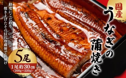 「国産うなぎの蒲焼き」5尾セット【凍らさず美味しさそのまま!〆たて・焼きたてを冷”蔵”で発送】地元飲食店に愛される、美味さにこだわった「国産うなぎの蒲焼き」 特上 うなぎ 蒲