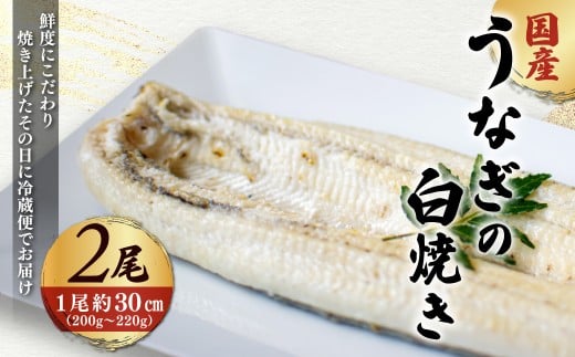 「国産うなぎの白焼き」 2尾セット【凍らさず美味しさそのまま!〆たて・焼きたてを冷”蔵”で発送】地元飲食店に愛される、美味さにこだわった「国産うなぎの白焼き」 特上 うなぎ 蒲