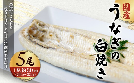 「国産うなぎの白焼き」 5尾セット【凍らさず美味しさそのまま!〆たて・焼きたてを冷”蔵”で発送】地元飲食店に愛される、美味さにこだわった「国産うなぎの白焼き」 特上 うなぎ 蒲