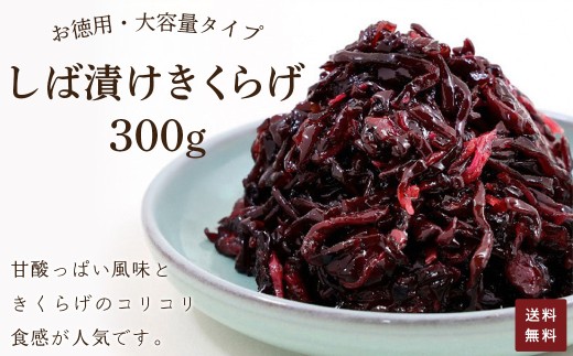 お徳用 しば漬け きくらげ 300g 【 ふるさと納税 しば漬け きくらげ お徳用 ご飯 ごはん お漬物  ご飯のお供 漬け物 お土産 お取り寄せ グルメ 人気 おすすめ 京都府 福知山市 】FCAD003京都