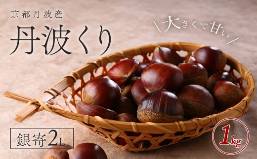 【2025年10月初旬より順次発送!】京都丹波産 丹波くり 銀寄2L 1kg 【ふるさと納税 栗 くり 丹波栗 丹波くり 銀寄 甘味 おやつ 栗ご飯 お菓子作り 2L L Lサイズ 大粒 期間限定 京都府 福知山
