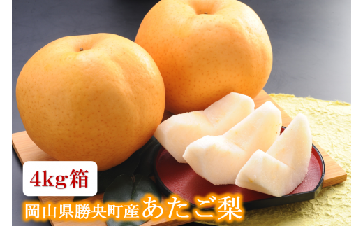 岡山県 勝央町産 梨 あたご梨 4kg箱 (4〜5玉) <12月上旬発送> _A21岡山県勝央町21000果物・フルーツりんご・梨