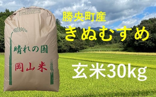 令和7年産 食味コンテスト受賞者の作る お米シリーズ 「 きぬむすめ 玄米 30kg 」 <11月から3月発送> _S102岡山県勝央町72000米・パン白米