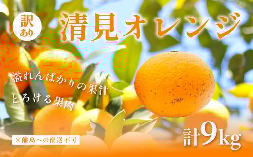 【先行予約】訳あり 清見オレンジ計9kg ※離島への配送不可(2026年3月上旬頃より順次発送予定) 【 ふるさと納税 人気 おすすめ ランキング 柑橘 みかん ミカン オレンジ 清見 清見オレンジ