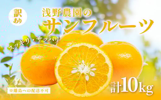 【訳あり】浅野農園のサンフルーツ 10kg ※離島への配送不可 【 ふるさと納税 人気 おすすめ ランキング 柑橘 みかん ミカン オレンジ  サンフルーツ フルーツ 訳あり 果物 くだもの 旬 愛媛