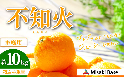 【先行受付】【家庭用】不知火(しらぬい) 10kg ※離島への配送不可 (2026年2月中旬より順次発送)  【 ふるさと納税 人気 おすすめ ランキング みかん 柑橘 ミカン 蜜柑 mikan 果物 不知火