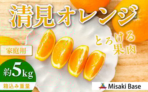【先行受付】【家庭用】清見オレンジ 5kg ※離島への配送不可 (2026年3月中旬より順次発送)  【 ふるさと納税 人気 おすすめ ランキング みかん 柑橘 ミカン 蜜柑 mikan 果物 清見 清見オレン