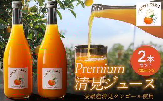 Premium清見ジュース(2本セット)※北海道・沖縄・離島への配送不可  【 ふるさと納税 人気 おすすめ ランキング 柑橘 みかん ミカン フルーツ ジュース みかんジュース ミカンジュース オ
