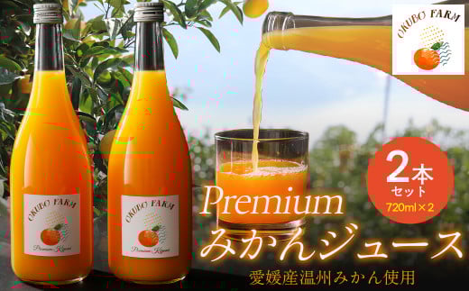 Premiumみかんジュース(2本セット)※北海道・沖縄・離島への配送不可  【 ふるさと納税 人気 おすすめ ランキング 柑橘 みかん ミカン フルーツ みかんジュース オレンジジュース 温州みか