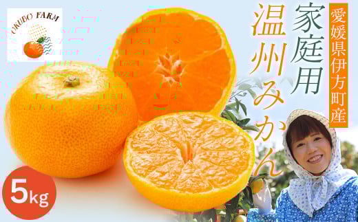 【先行予約】【家庭用】温州みかん 5kg ※北海道・沖縄・離島への配送不可 (2025年12月1日より順次発送予定)  【 ふるさと納税 人気 おすすめ ランキング 柑橘 みかん ミカン フルーツ 温州