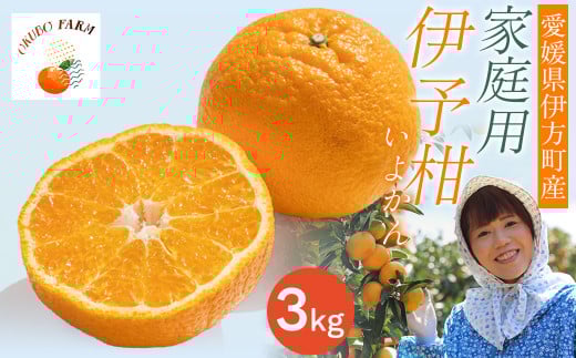 【先行予約】【家庭用】伊予柑 3kg ※北海道・沖縄・離島への配送不可 (2026年1月中旬より順次発送予定)  【 ふるさと納税 人気 おすすめ ランキング 柑橘 みかん ミカン 伊予甘 フルーツ