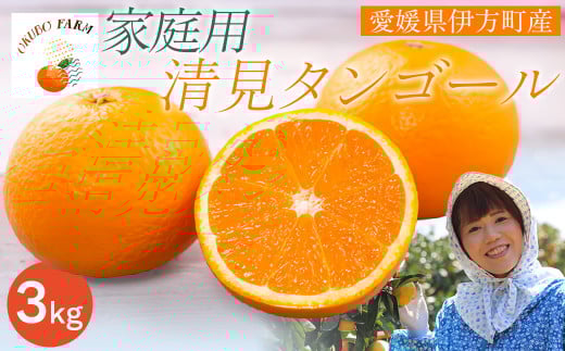 【先行予約】【家庭用】清見タンゴール 3kg ※北海道・沖縄・離島への配送不可(2026年3月中旬より順次発送) 【 ふるさと納税 人気 おすすめ ランキング 柑橘 みかん ミカン 清見タンゴー