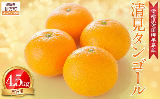 ys\zy_ƒzQY ^S[ p 4.5kgi2026N3{`4{\j y ӂ邳Ɣ[ lC  LO k  ݂ ~J ʕ t[c 