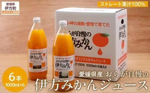 【先行予約】【愛媛県産】おらが自慢の伊方みかんジュース(1000ml×6本)ストレート果汁100% (2025年12月より順次発送)【 ふるさと納税 人気 おすすめ ランキング みかん ミカン 蜜柑 ジュ