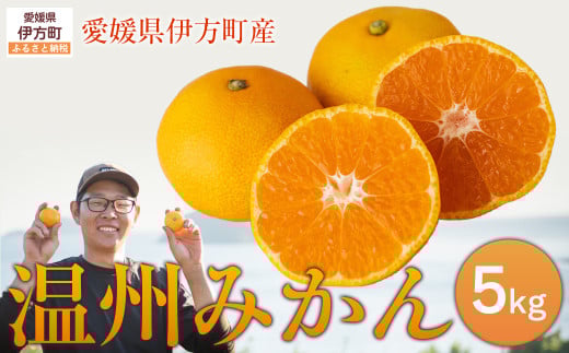 【先行予約】【数量限定】温州みかん5kg(石崎農園)※離島への配送不可 (2025年11月25日より順次発送予定) 【 ふるさと納税 人気 おすすめ ランキング 柑橘 みかん 温州みかん ミカン mikan