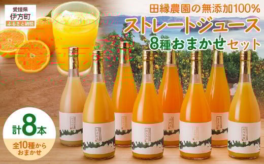 yQYzc_̖Y100% Xg[gW[X8킨܂Zbg 720ml S10 y ӂ邳Ɣ[ lC W[X IWW[X  IW ʕ 蕨 Q ɕ z IKTA006
