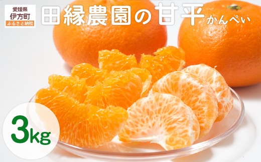 【先行予約】【数量限定】田縁農園の甘平(かんぺい)3kg ※離島への配送不可 (2026年1月25日より順次発送) 【 ふるさと納税 人気 おすすめ ランキング みかん ミカン 蜜柑 甘平 かんぺい