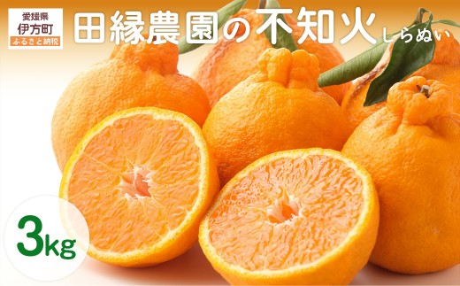 【先行予約】【数量限定】田縁農園の不知火(しらぬい)3kg ※離島への配送不可 (2026年2月10日より順次発送) 【 ふるさと納税 人気 おすすめ ランキング みかん ミカン 蜜柑 不知火 しら