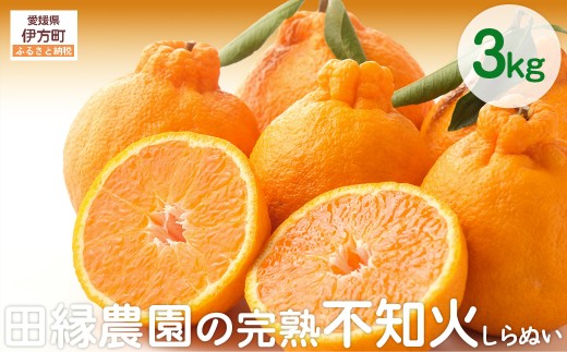 【先行予約】【数量限定】田縁農園の完熟不知火(しらぬい)3kg ※離島への配送不可 (2026年3月20日より順次発送) 【 ふるさと納税 人気 おすすめ ランキング みかん ミカン 蜜柑 不知火