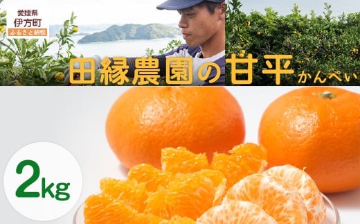 【先行予約】【数量限定】田縁農園の甘平(かんぺい)2kg ※離島への配送不可 (2026年1月25日より順次発送) 【 ふるさと納税 人気 おすすめ ランキング みかん ミカン 蜜柑 甘平 かんぺい