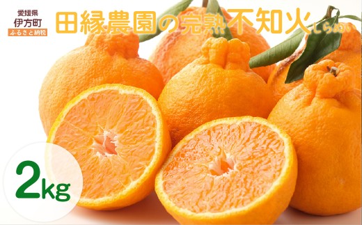 【先行予約】【数量限定】田縁農園の完熟不知火(しらぬい)2kg ※離島への配送不可 (2026年3月20日より順次発送) 【 ふるさと納税 人気 おすすめ ランキング みかん ミカン 蜜柑 不知火
