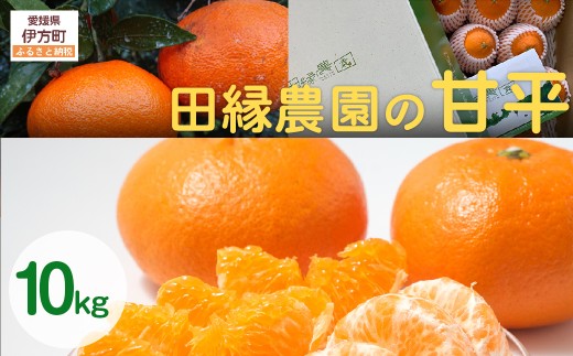 【先行予約】【家庭用】甘平 10kg ※離島への配送不可 (2026年1月25日より順次発送) 【 ふるさと納税 人気 おすすめ ランキング みかん ミカン 蜜柑 甘平 かんぺい フルーツ 果物 愛媛県産