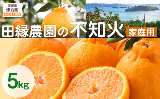 【先行予約】【家庭用】不知火 5kg ※離島への配送不可 (2026年2月10日より順次発送) 【 ふるさと納税 人気 おすすめ ランキング みかん ミカン 蜜柑 不知火 しらぬい フルーツ 果物 愛媛県