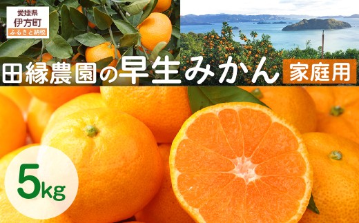 【先行予約】【家庭用】早生みかん 5kg ※離島への配送不可 (2025年11月10日より順次発送) 【 ふるさと納税 人気 おすすめ ランキング みかん ミカン 蜜柑 早生みかん 早生ミカン フルーツ