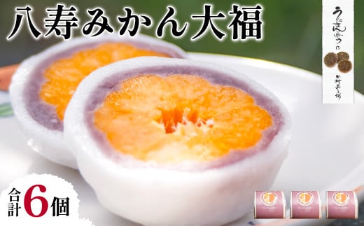 八寿みかん大福6個セット【 ふるさと納税 人気 おすすめ ランキング 大福 みっちゃん大福 温州みかん お土産 セット 八樹みかん 詰合せ 贈答 贈り物 ギフト 田村菓子舗 愛媛県 伊方町  】 IKT