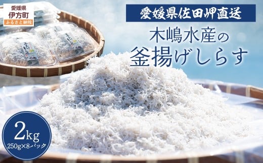 【愛媛県・佐田岬直送】木嶋水産の釜揚げしらす 2kg(250g×8パック)※離島への配送不可 【ふるさと納税 人気 おすすめ ランキング 魚介類 海産物 魚 釜揚げ しらす シラス 小分け やみつき