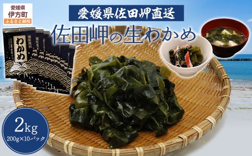 【佐田岬・漁師直送】佐田岬の生わかめ(200g×10P) ※離島への配送不可 【ふるさと納税 人気 おすすめ ランキング 藻 魚介類 食品 味噌 西宇和産 味噌汁 酢の物 サラダ 簡単調理 手軽 人気 木