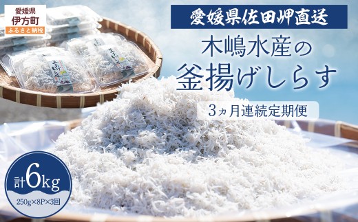 【佐田岬・漁師直送】【3ヵ月連続定期便】 木嶋水産の釜揚げしらす 6kg(1回250g×8P×3回) ※離島への配送不可 【ふるさと納税 人気 おすすめ ランキング 魚介類 海産物 魚 釜揚げ しらす シラ