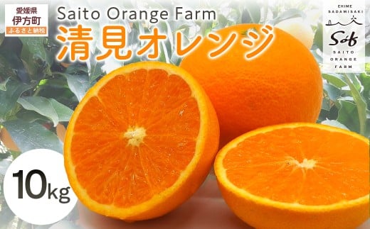 【先行予約】Saito Orange Farmの清見オレンジ10kg(2026年3月中旬頃より順次発送) 【 ふるさと納税 人気 おすすめ ランキング みかん ミカン 蜜柑 柑橘 清見 オレンジ 清見オレンジ フルーツ 果